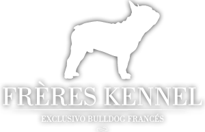 Frères Kennel Bulldog Francés